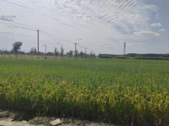 -嘉北郊野公园