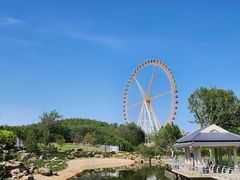 -石家庄市动物园