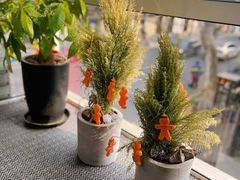 -蝶舍·MAISON PAPILLON