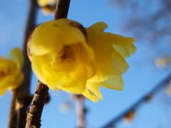 -白塘生态植物园