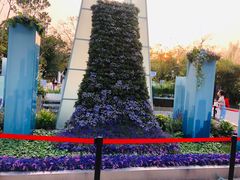 -深圳仙湖植物园