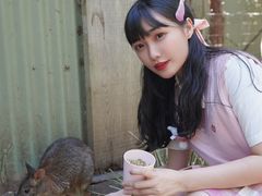 -费瑟代尔野生动物园