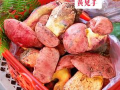 -菌山里·野生菌猪肚包鸡(阳光花园店)