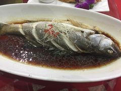 -碧丽宫大酒店(召稼楼店)
