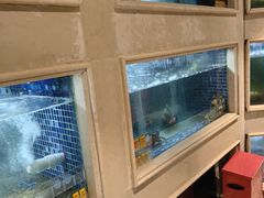 -顺峰(农展馆店)