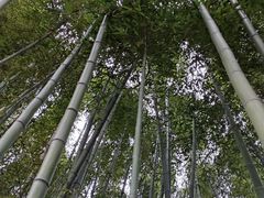 -汇龙潭