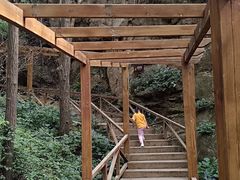 -大岭沟猕猴桃谷风景区