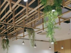 -红辣椒陶氏丝娃娃(南国花锦店)