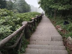 -梧桐山风景名胜区