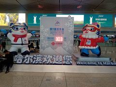 -哈尔滨太平国际机场-T2航站楼