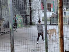 -贵州森林野生动物园