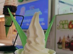 -Salud撒露欧洲冻酸奶(五道口购物中心店)