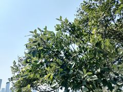 -厦门园林博览苑