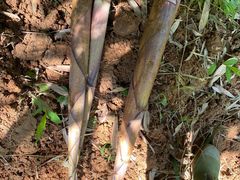 -漓江又一軒·广西菜·桂林米粉(梅林店)