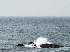 -小麦岛公园