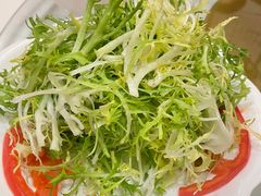 -九花山烤鸭店