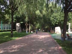 -唐城墙遗址公园