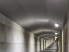 -薇酌饮·陕西菜(南门外店)