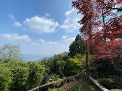 -莫干山风景区