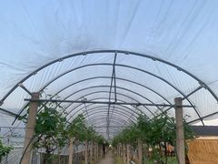 -美家乐农庄·露营·团建(大治路店)