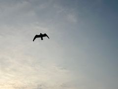 -海驴岛(荣成市)