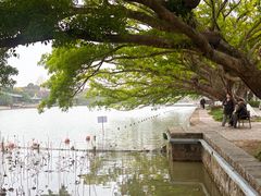 -江心屿景区