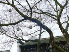 -南京市民俗博物馆(甘熙故居)