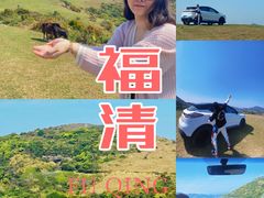 -大姆山草场