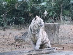 -广州长隆野生动物世界