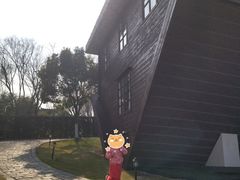 -金山农民画村-枫泾波兰倒置屋