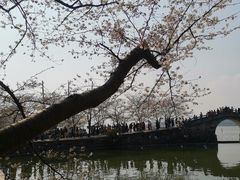 -无锡君来洲际酒店
