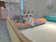 -龟与熊猫宠物公园(南坪店)