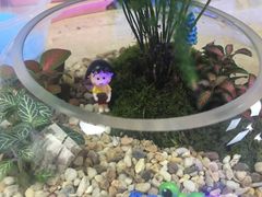 -A+匠心DIY手工坊·首饰·微景观