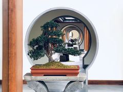 -腾冲和顺柏联酒店