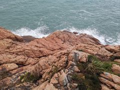 -广东惠东海龟国家级自然保护区