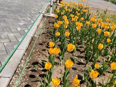 -北陵公园