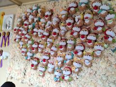 -柴犬高等学院·狗咖·柴犬售卖·宠物训练