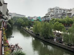 -志龙皇冠吃货椰子铺