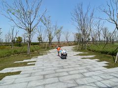 -春花秋色城市公园