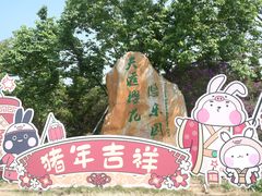 -天适樱花悠乐园