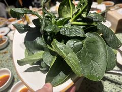-海底捞火锅(龙岗万达广场店)