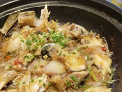 -杨厨的田园饭店(长城路店)