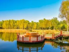 -东郊湿地公园