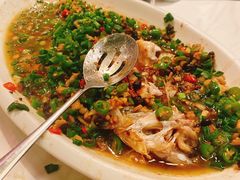 -院8里·小聚园老川菜(九眼桥店)