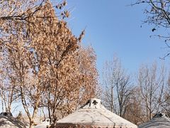 -九十九顶毡房(清河店)