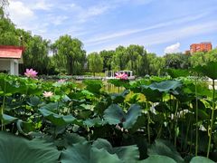 -丰台花园