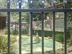 -费瑟代尔野生动物园