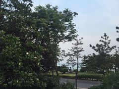 -青岛海景花园大酒店·粤海餐厅