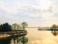 -泰山天颐湖旅游度假区