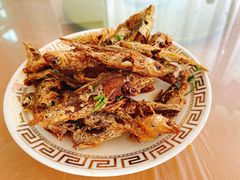 -上海老范农家乐(崇明前卫村店)